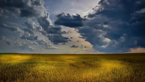 campo