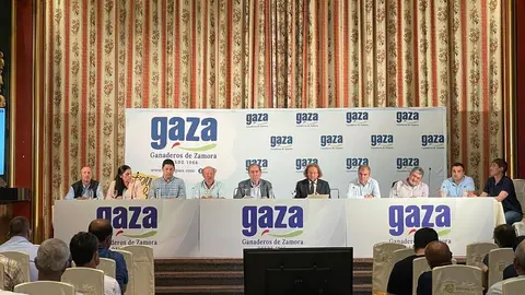 asamblea gaza