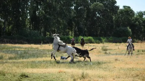 Susto en Vadillo de la Guareña