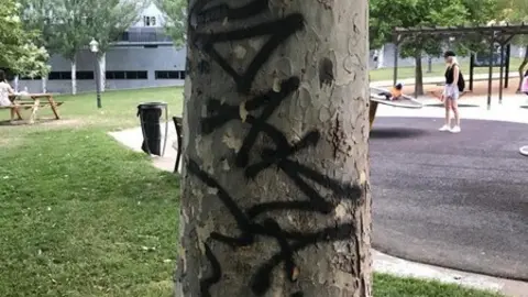 Árboles con pintadas en León Felipe