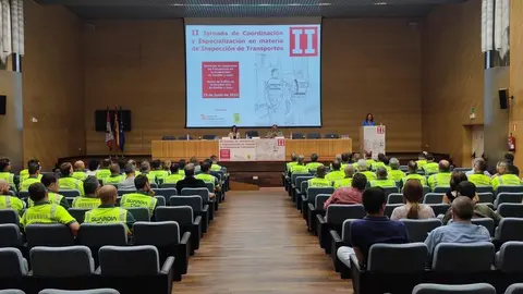 Junta y guardia civil