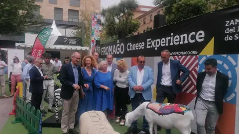 Ovejas fromago en Salamanca