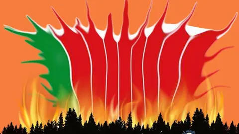 Creación del Rincón de Miguel