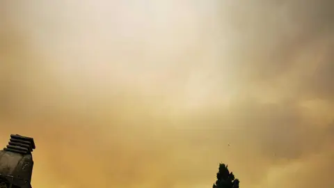 Fuego Sierra de la Culebra