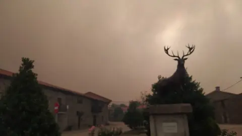 Columna de humo en Villardeciervos