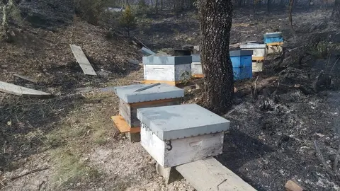 Colmenas arrasadas por el fuego en el término municipal de Boya