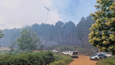 La Guardia Civil inspecciona la zona afectada por el incendio de Sierra de la Culebra. Fotografía: GC