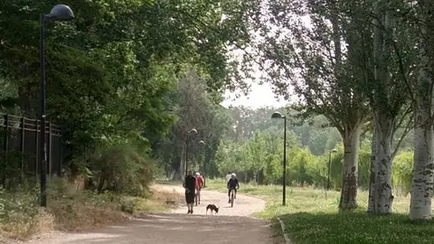 Gente paseando por los Tres Árboles