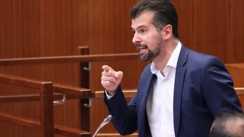 Luis Tudanca en pleno