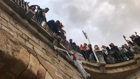 Desfile de peñas (1)