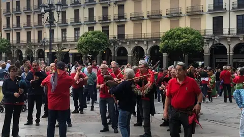 Desfile de peñas (18)