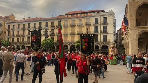 Desfile de peñas (25)
