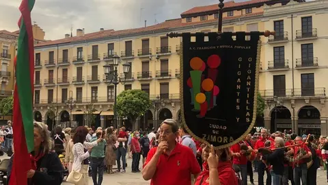 Desfile de peñas (29)