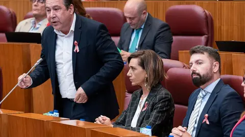 Procurador de Unión del Pueblo Leonés, Luis Mariano Santos