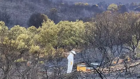 Incendio Sierra de la Culebra imagen cedida