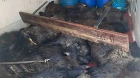 JABALÃES-FURGONETA-VALLADOLID-GUARDIA-CIVIL