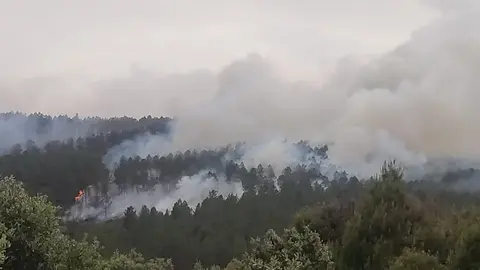 Columna de humo en la zona de la Devesa en Ferreras