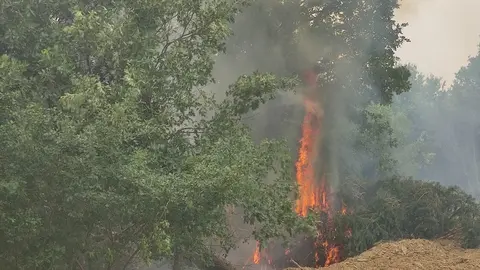 Incendio en Ferreras de Abajo. Foto de archivo