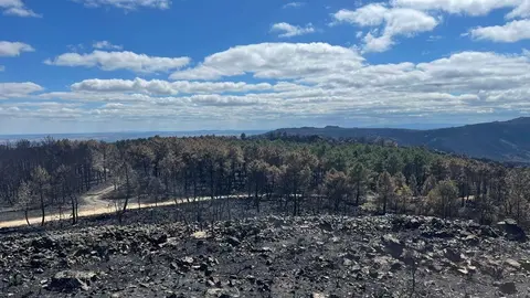 Estado de la Sierra de la Culebra tras el incendio.