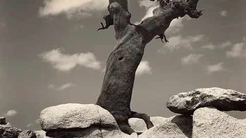 Una de las fotografías de Almeida expuestas