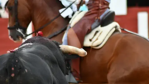 rejones San Pedro 2022 (20)