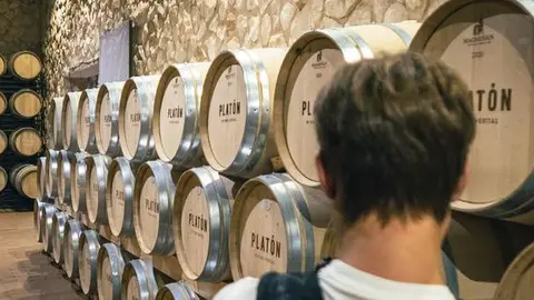 2022_Bodega Divina Proporción (5)