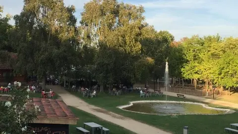 Paseo de Los Tres Árboles