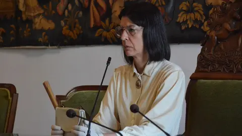 iberoamericana Toro  (34)