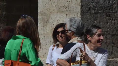 iberoamericana Toro  (80)