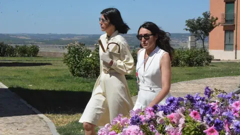 iberoamericana Toro  (91)