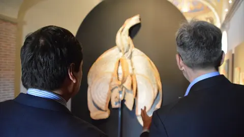 iberoamericana Toro  (145)