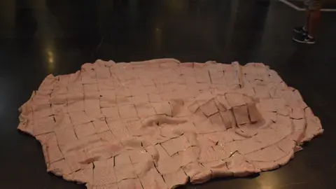 iberoamericana Toro  (168)