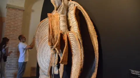 iberoamericana Toro  (187)