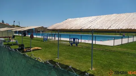 chapuzón toro piscina  (3)