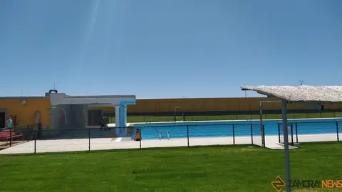 chapuzón toro piscina  (4)