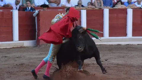 toros san pedro 2022 (261)