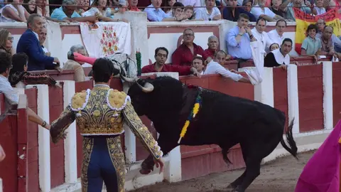 toros san pedro 2022 (376)