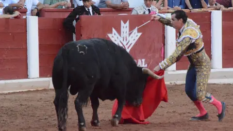 toros san pedro 2022 (393)