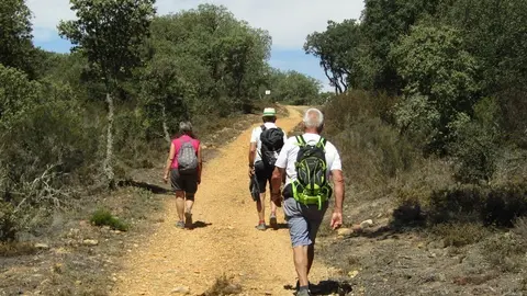 Peregrinos por el Camino Sanbrés. Foto Albergue Tábara