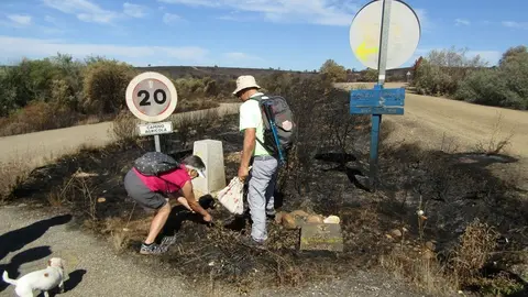 Peregrinos en el Camino Sanabrés