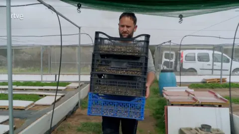 Álex en el programa Ruralitas