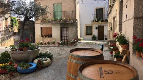 Plaza de Requejo, Oficina Fermoselle Ruta del Vino