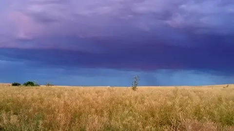 Campo de trigo en plena tormenta