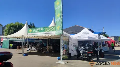 Motos Sanabria (2)