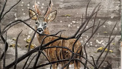 Cuadro de un corzo en Sierra de la Culebra. Autor: Jorge Manzanares