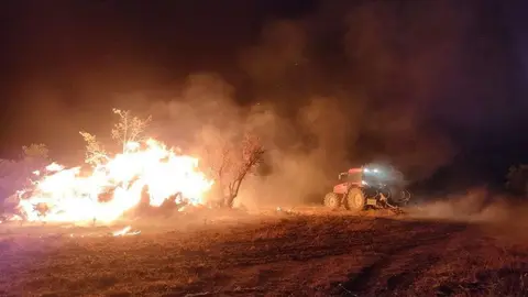 Dehesa de Macaína en Escuadro de Sayago