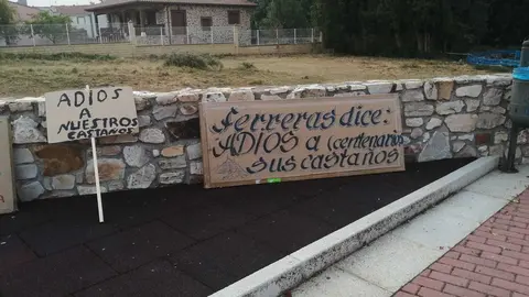 Manifestación Sierra de la Culebra (13)