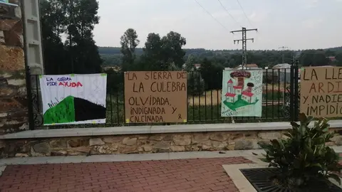 Manifestación Sierra de la Culebra (15)
