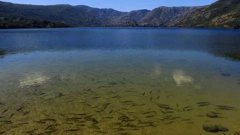 Lago de Sanabria. Fotografía: Daniel Bustillo