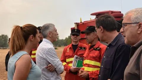 El ministro del interior, Fernando Grande-Marlaska, visita el fuego en Losacio_2